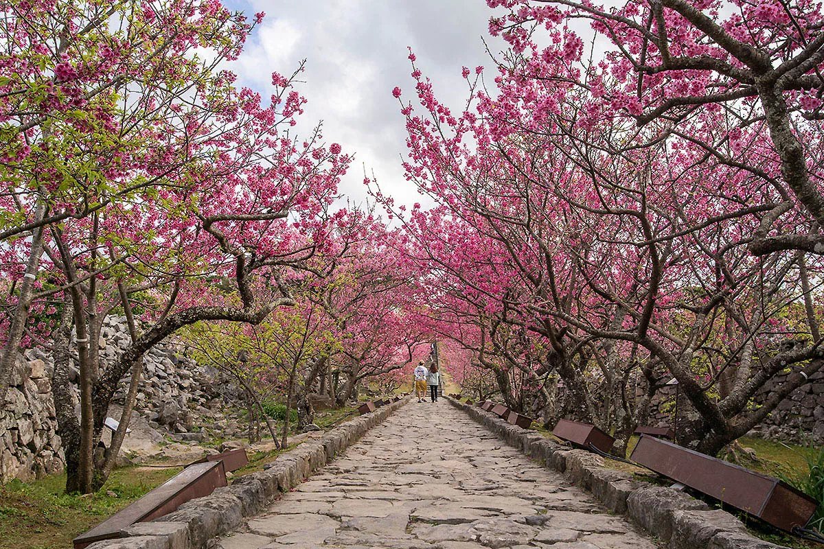 🏞️ 말길 공원 (스에요시 코엔) 이미지 7